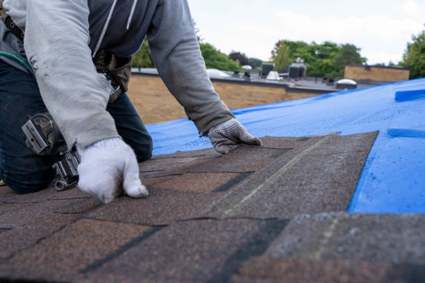 Best Metal Roofing Contractor  in Tashua, CT